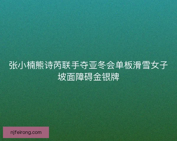 张小楠熊诗芮联手夺亚冬会单板滑雪女子坡面障碍金银牌 张小楠熊诗芮联手夺亚冬会单板滑雪女子坡面障碍金银牌